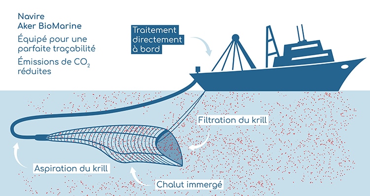 Huil de krill SuperbaBoost® riche en astaxanthine